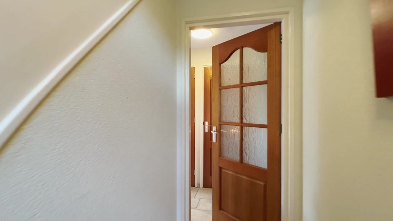 Video van Zwaluwsedijk 5