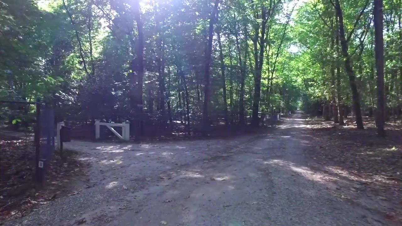 Video van Zonnegloren 19