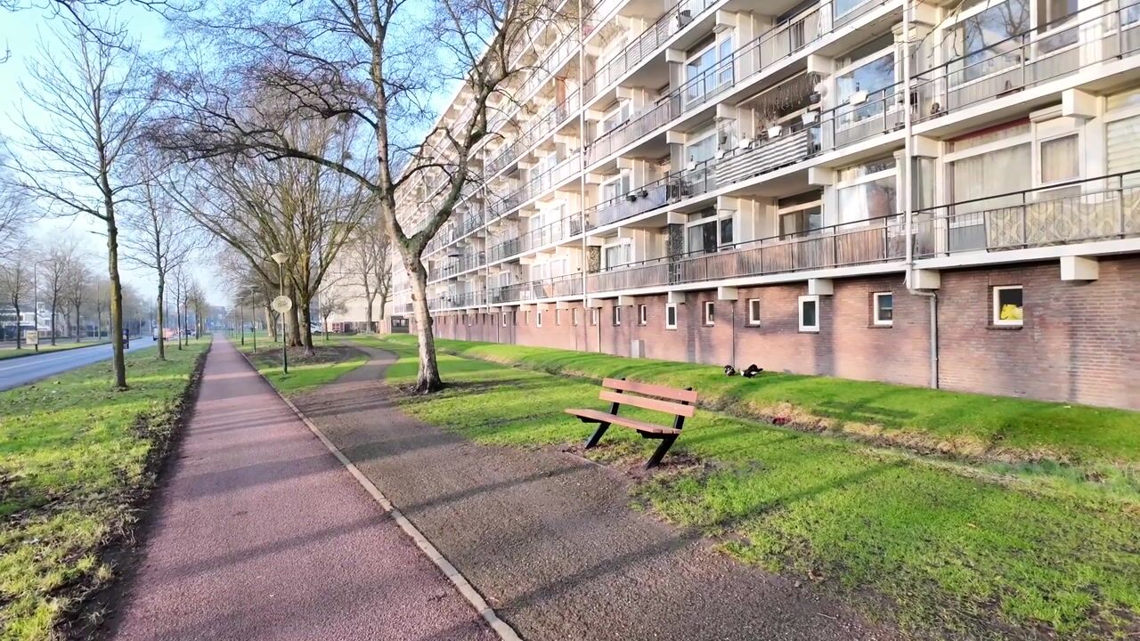 Video van De Akkeren 67