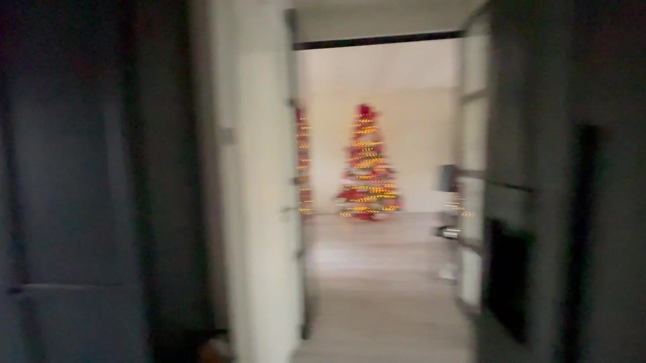 Video van Populierenlaan 225