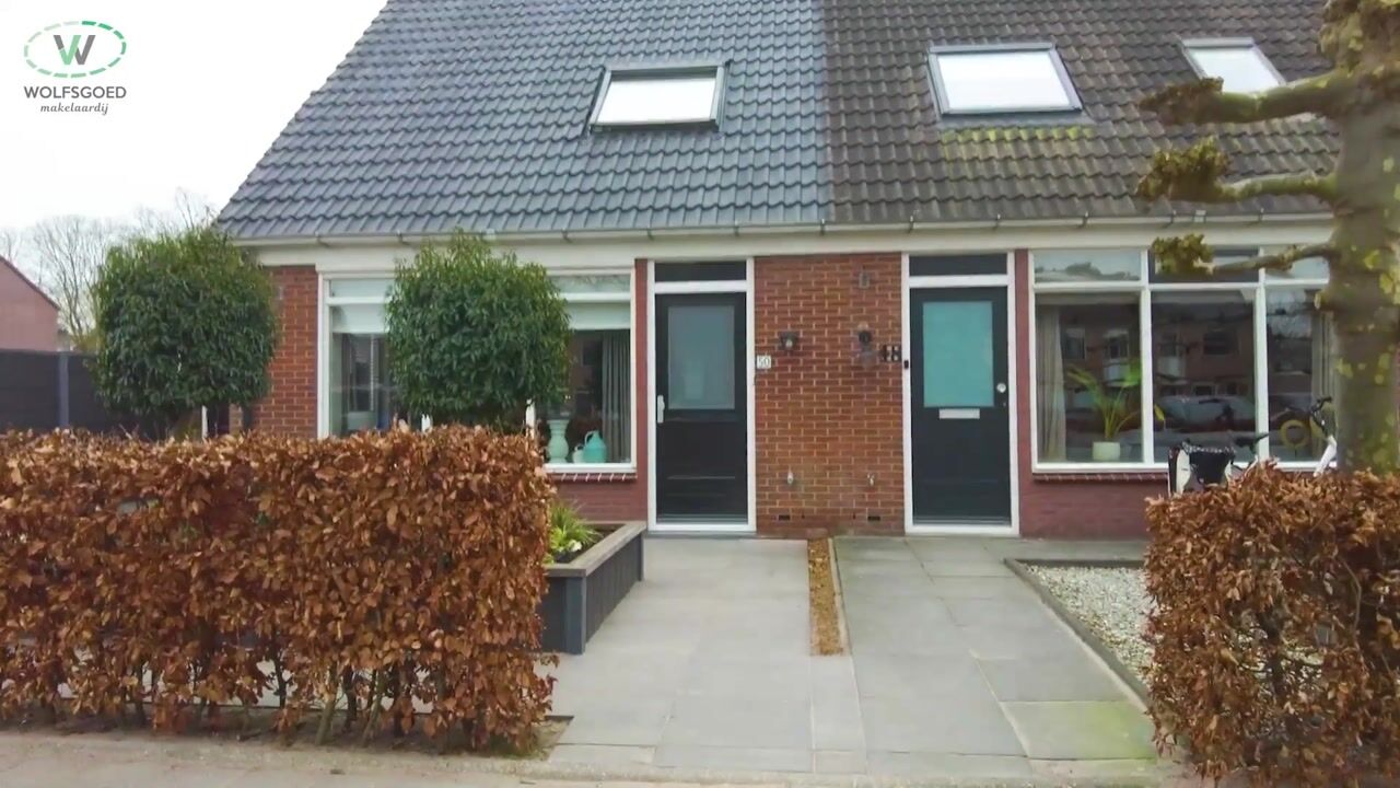 Video van Van Renesselaan 50