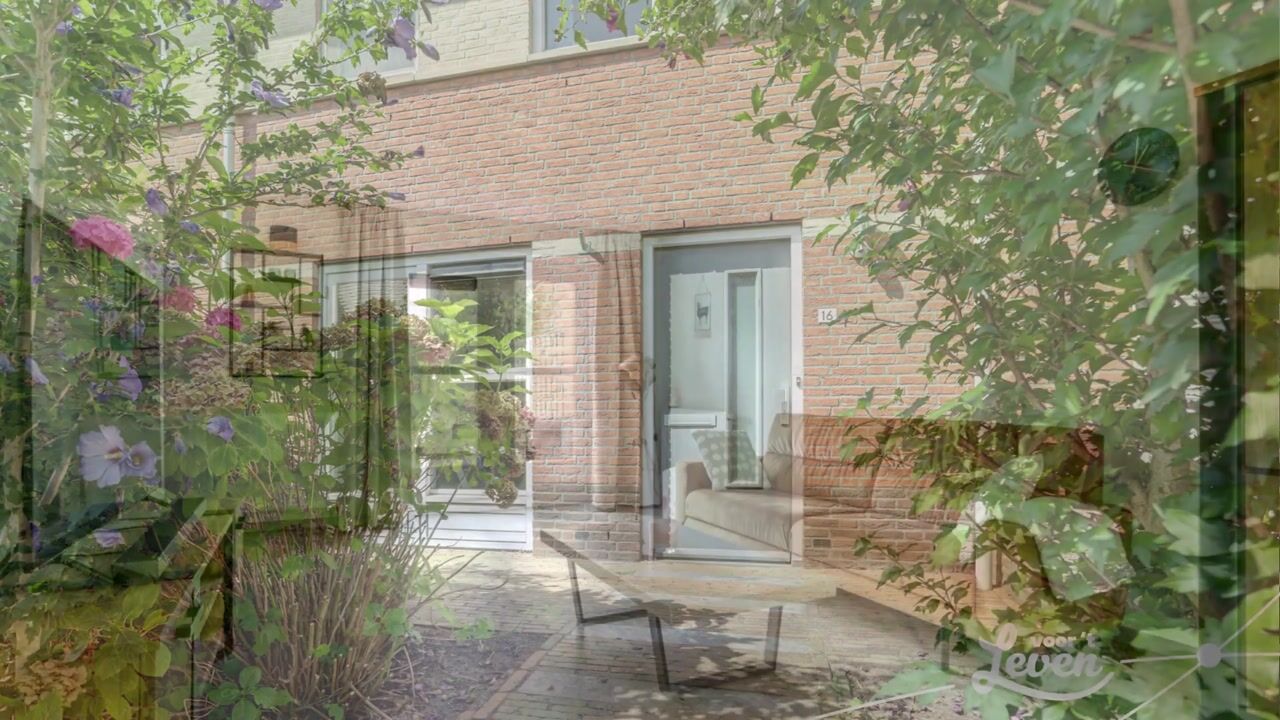 View video of Wolfstraat 16