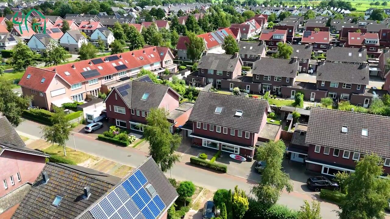 Video van Leeuwentand 5
