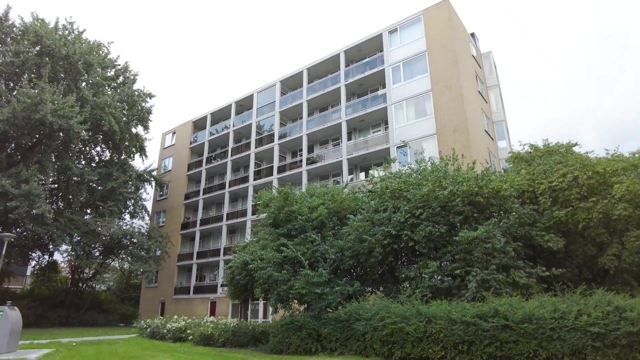 Video van Rozenoord 11