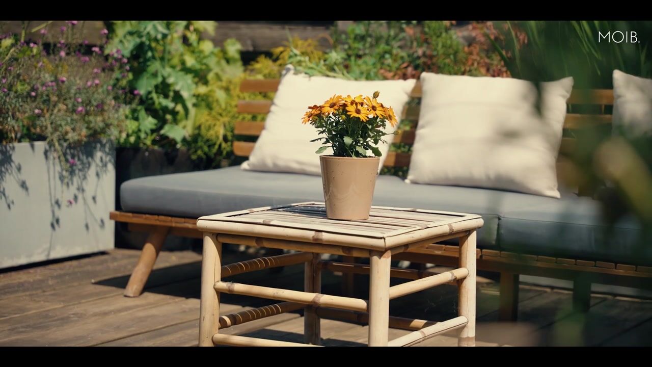 Video van Julianaweg 229-A