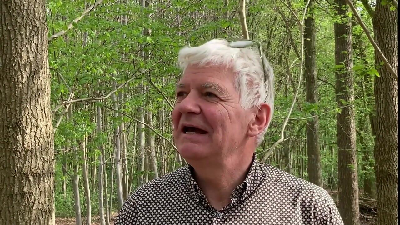 Video van Berkenlaan 25