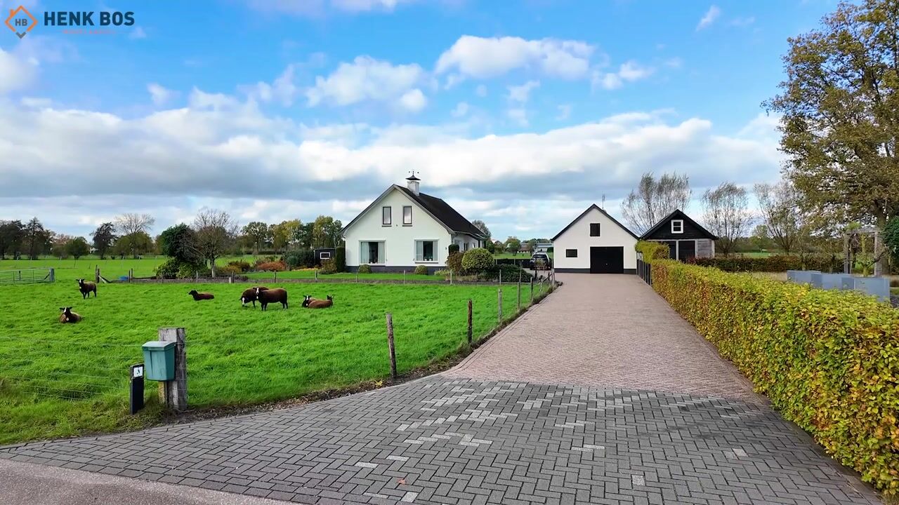 Video of Scheivoor 3