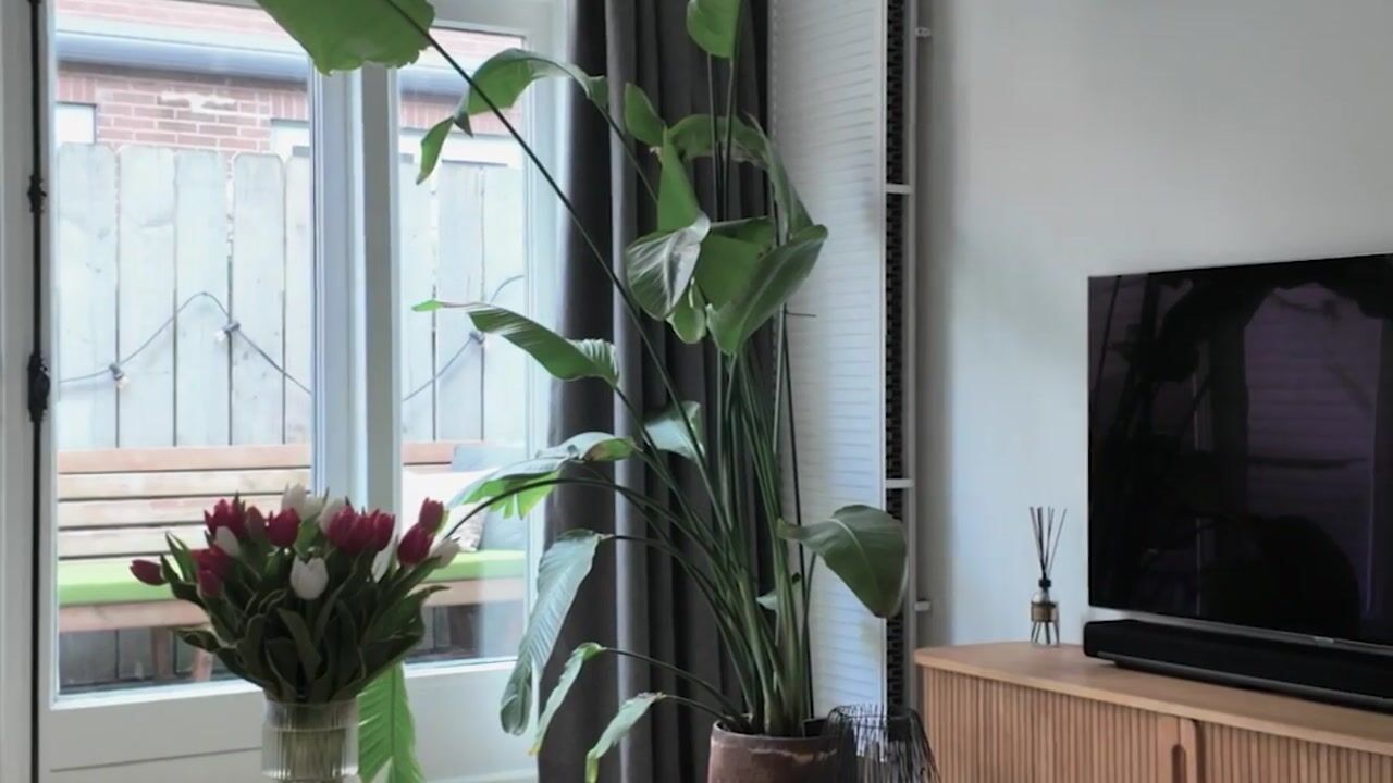 Video van Westwagenstraat 74