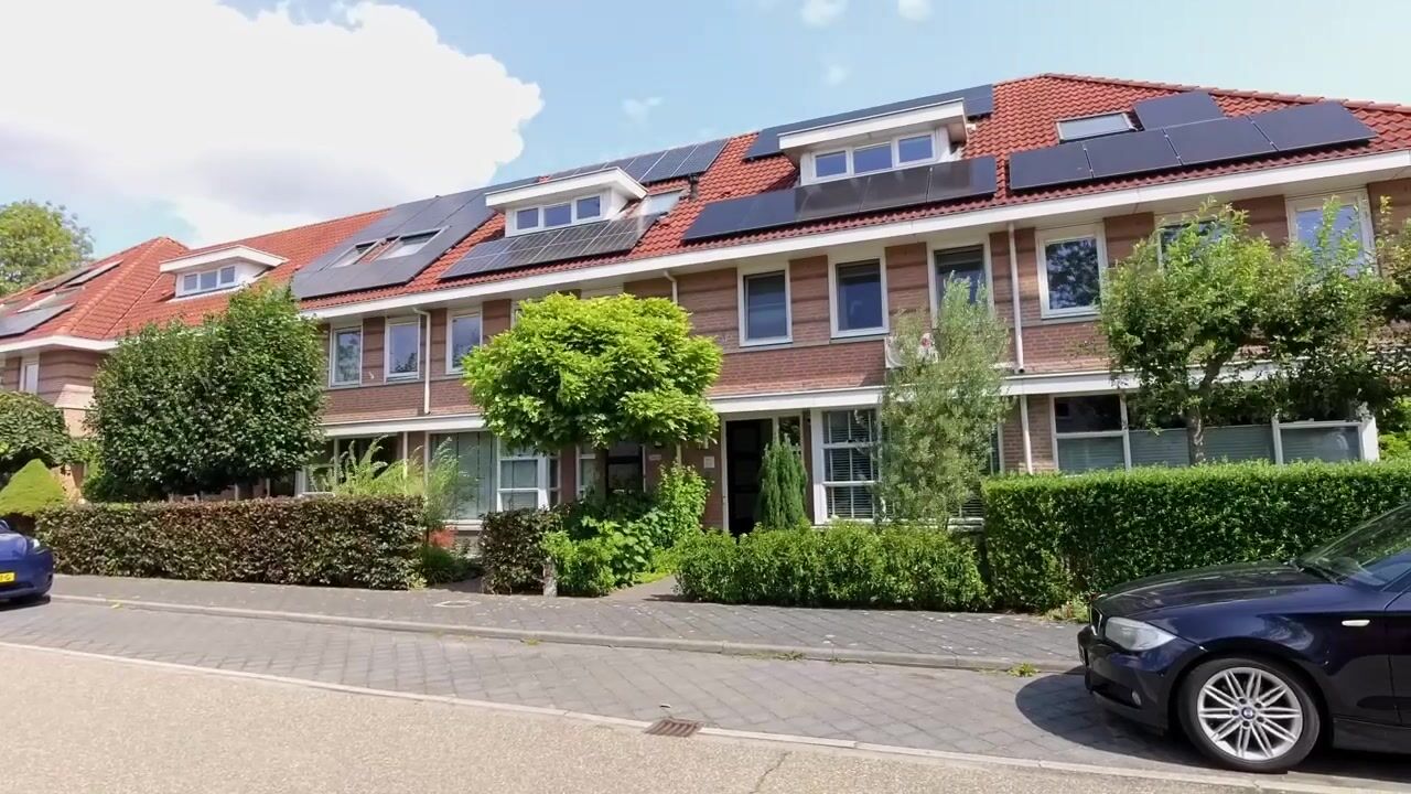 Video of de Flier 3811