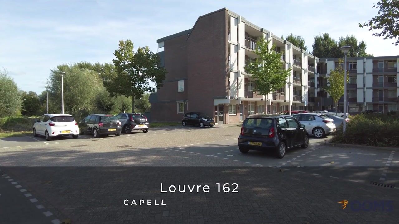 Video van Louvre 162