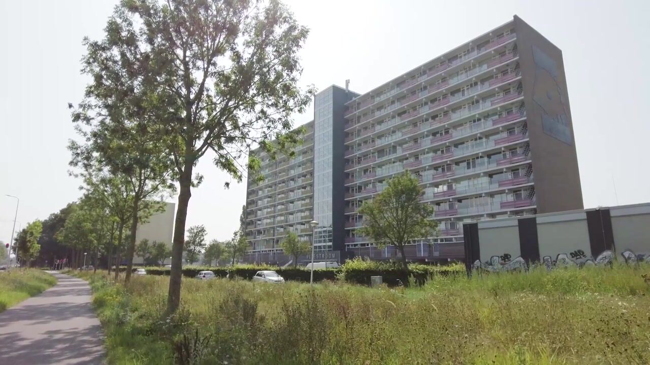 Video of Vliestroom 52