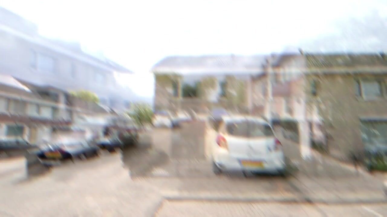 Video van Strijdhoefdam 2