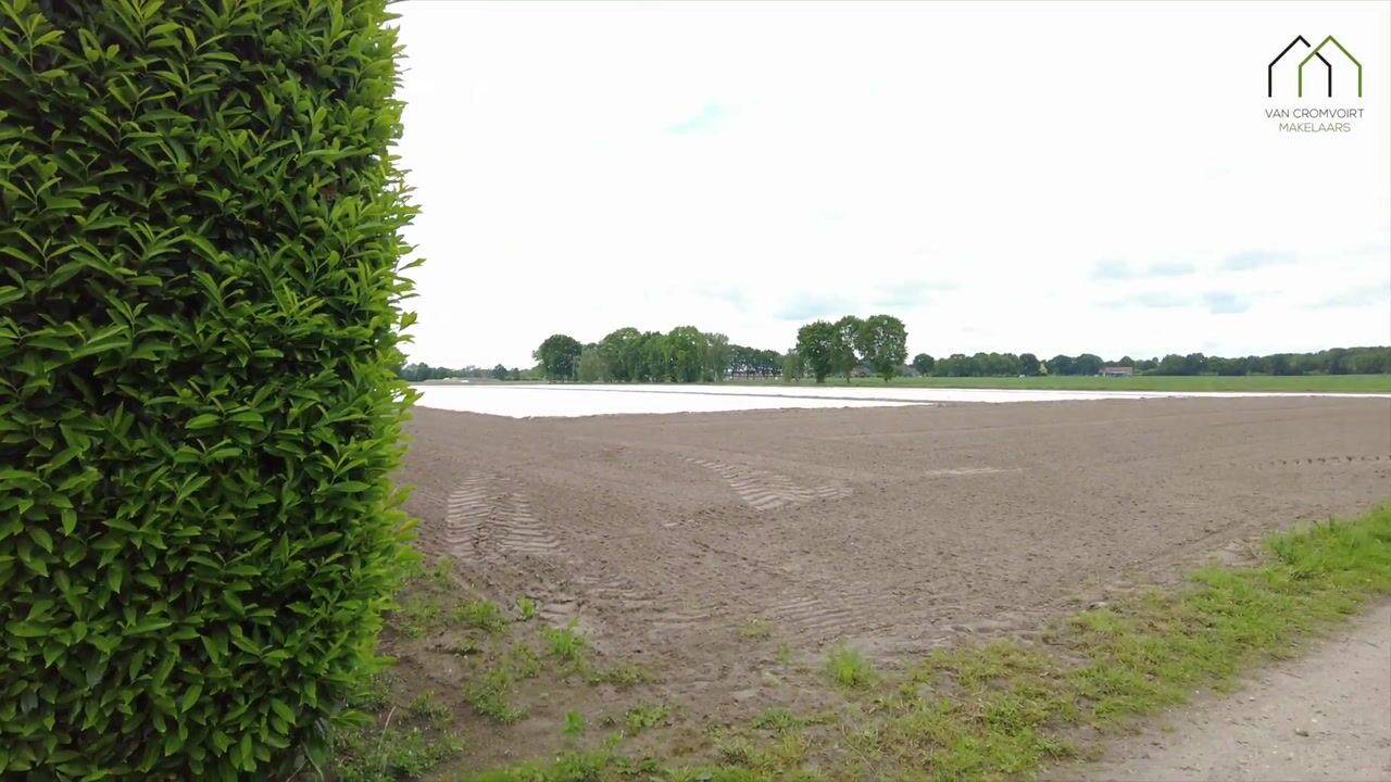 Video van Haardstraat 20