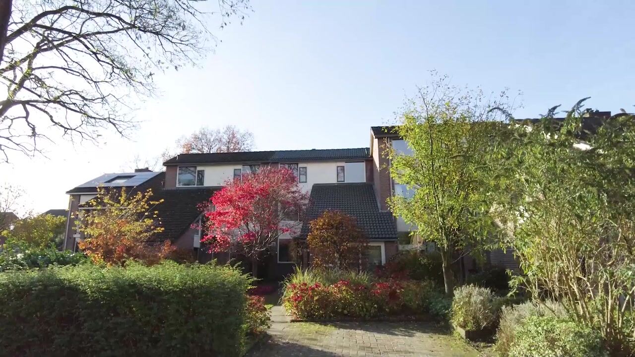 Video of Iepenhof 37