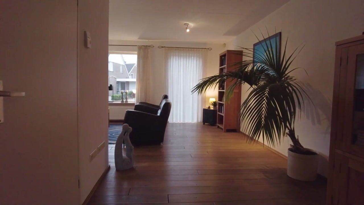Video of De Lijnstukken 21