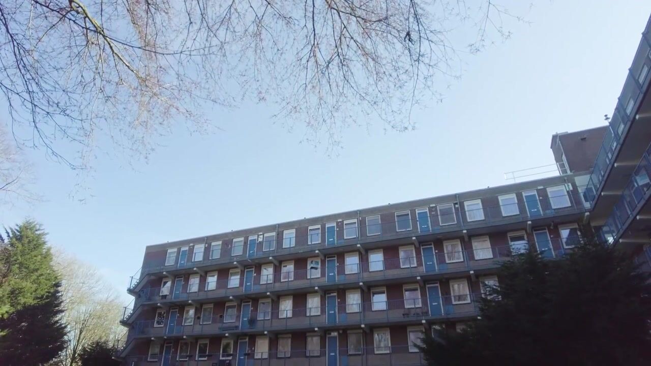 Video of Fluitekruidweg 44