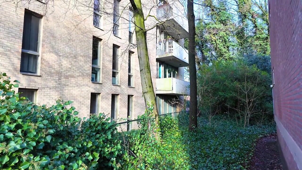 Video van Ernst Casimirlaan 113