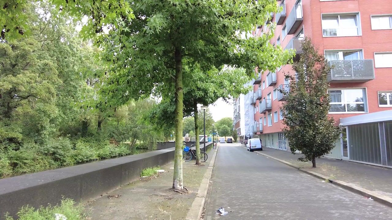 Video of Anna Blamansingel 186