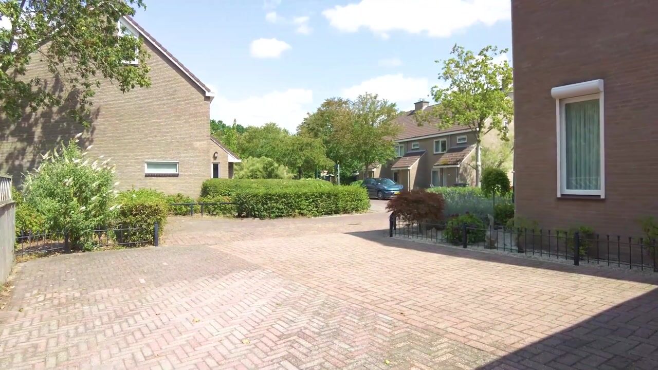 Video van De Zeis 55