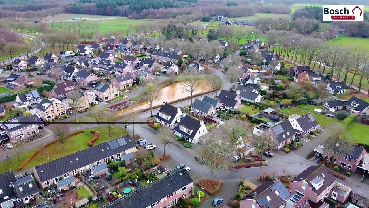 Video van Korenbloem 26