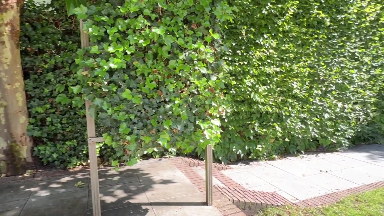 Video van Nassaulaan 33