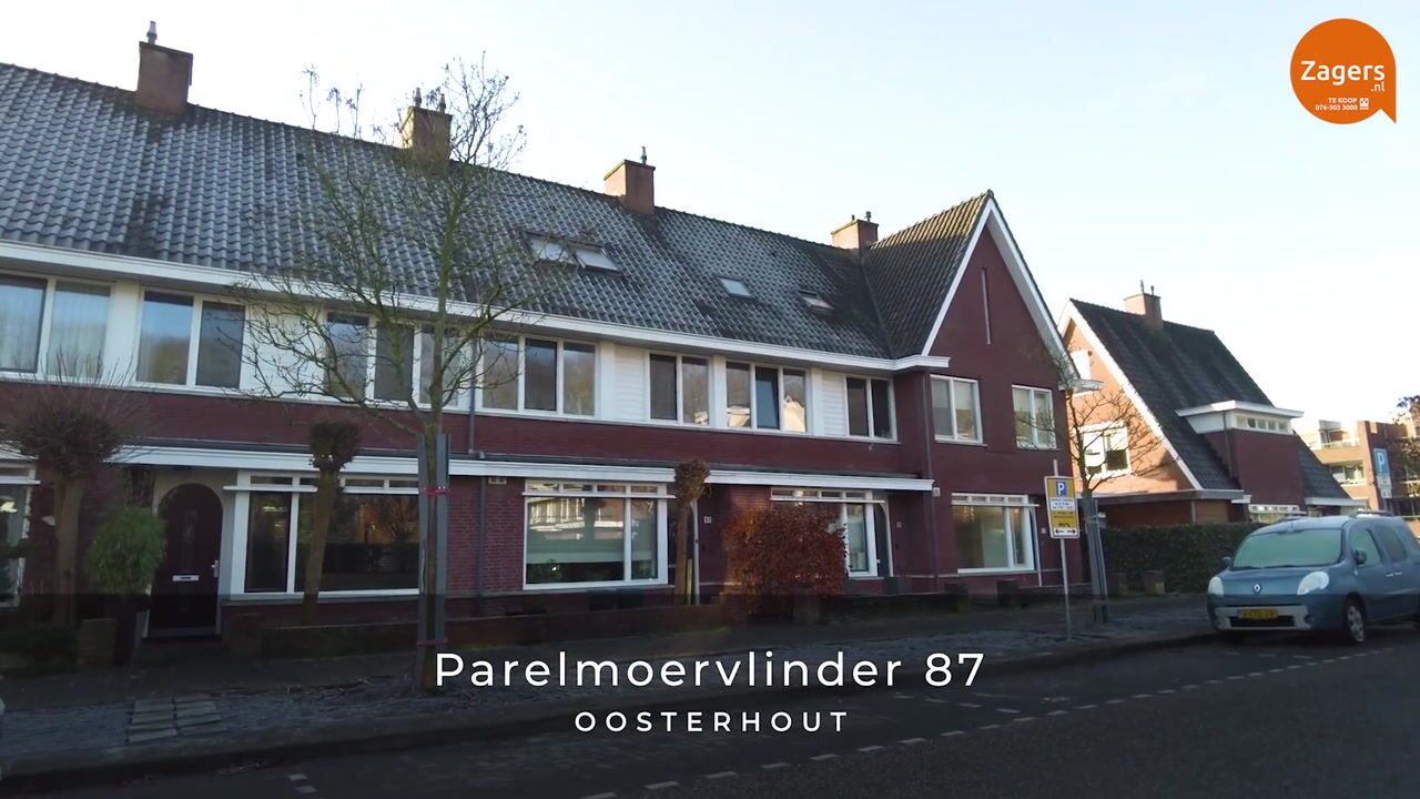 Video van Parelmoervlinder 87
