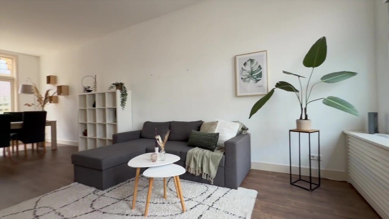 Video of President Steijnstraat 149