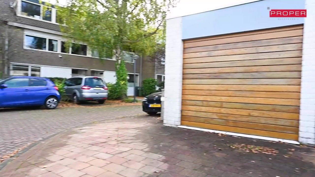 Bekijk video van Bijenveld 4