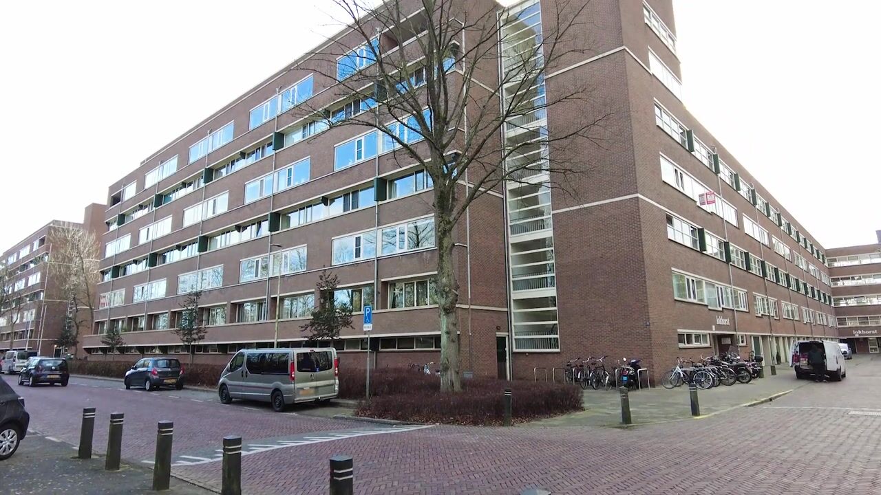 Video van Lokhorst 35