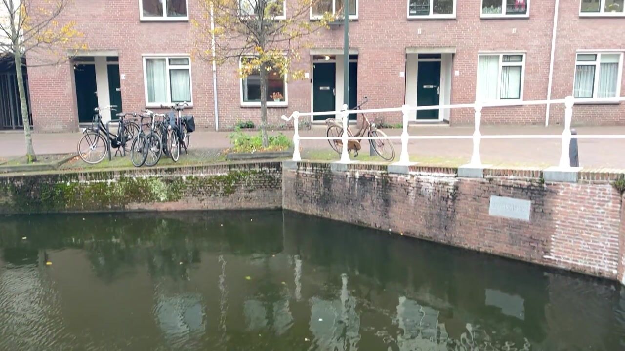 Video of Dertienhuizen 15