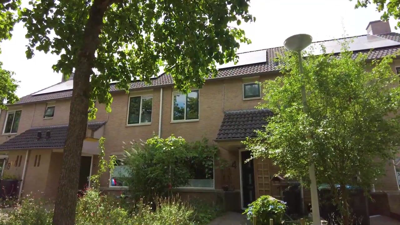 Video van Zwenkgras 4