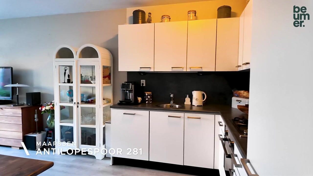 Video van Antilopespoor 281