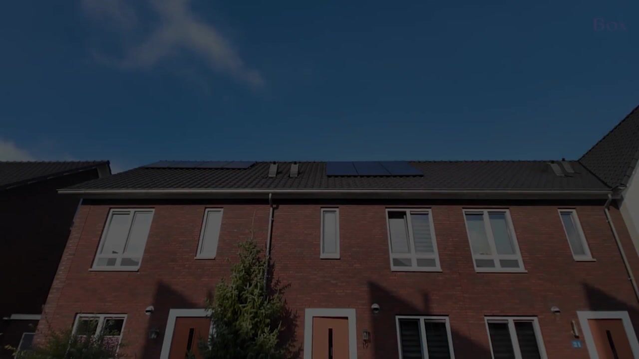 Video of Biesveld 19