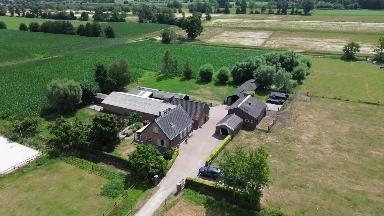 Video van Schras 83