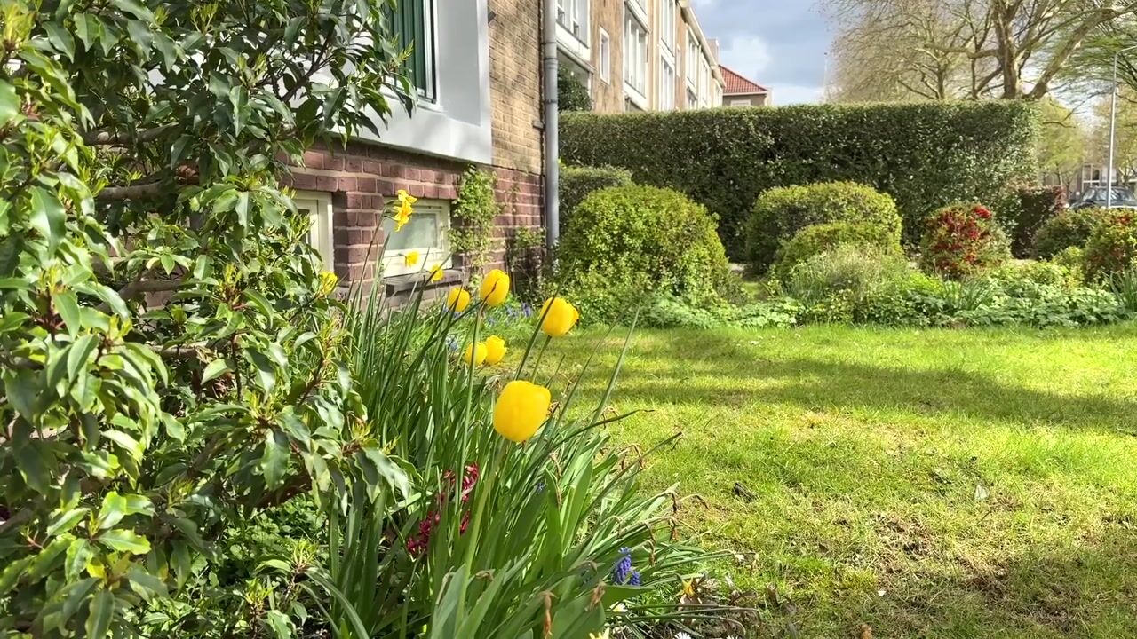 Video van Diependaalselaan 386