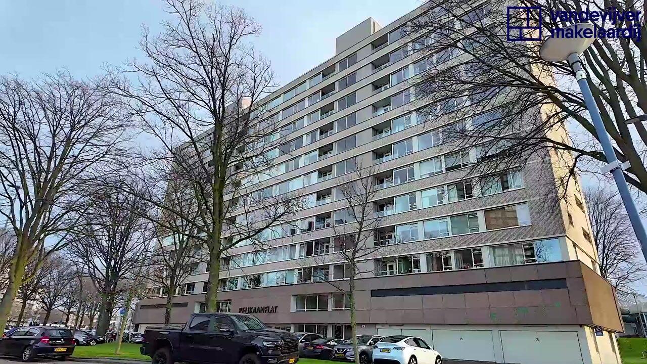 Video van 's-Lands werf 269