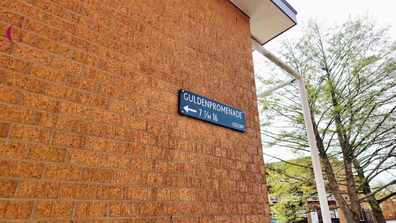 Video van Guldenpromenade 15