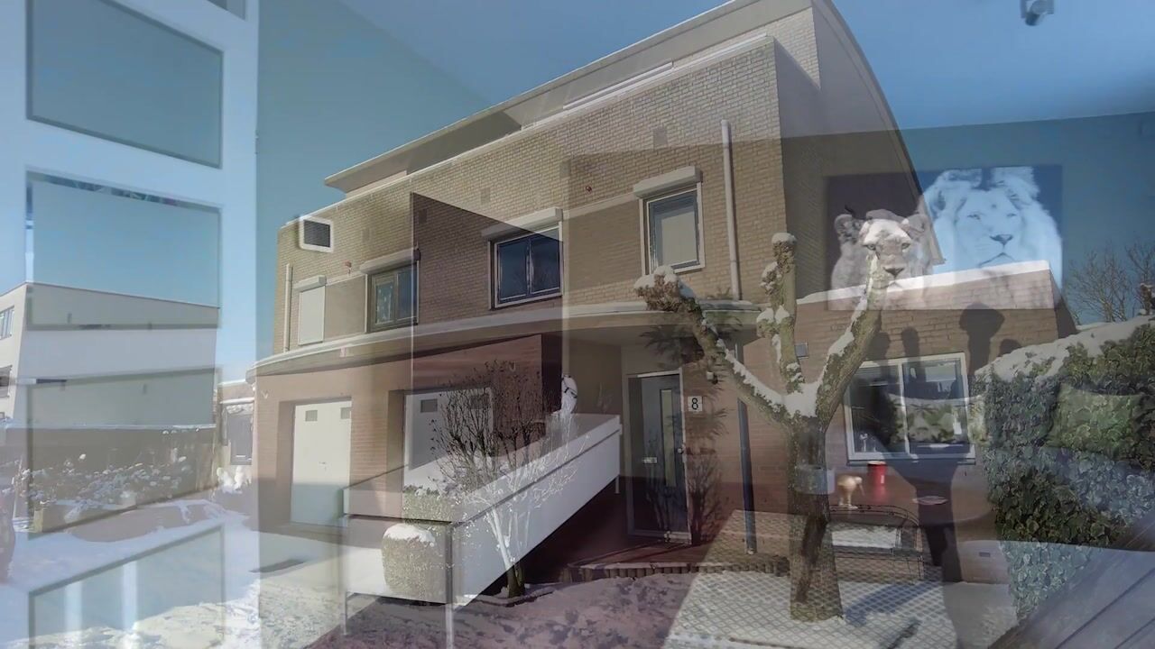 Video van Damhertstraat 8