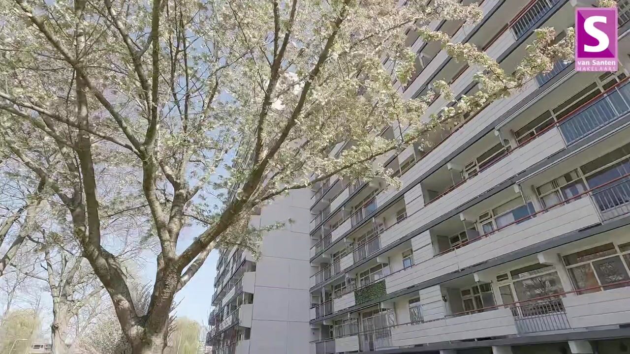 Video van Akkerwinde 279