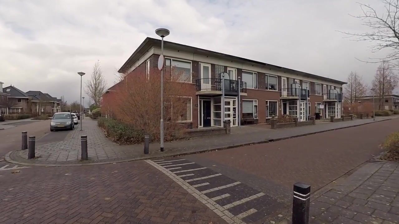 Video van Roodborst 46