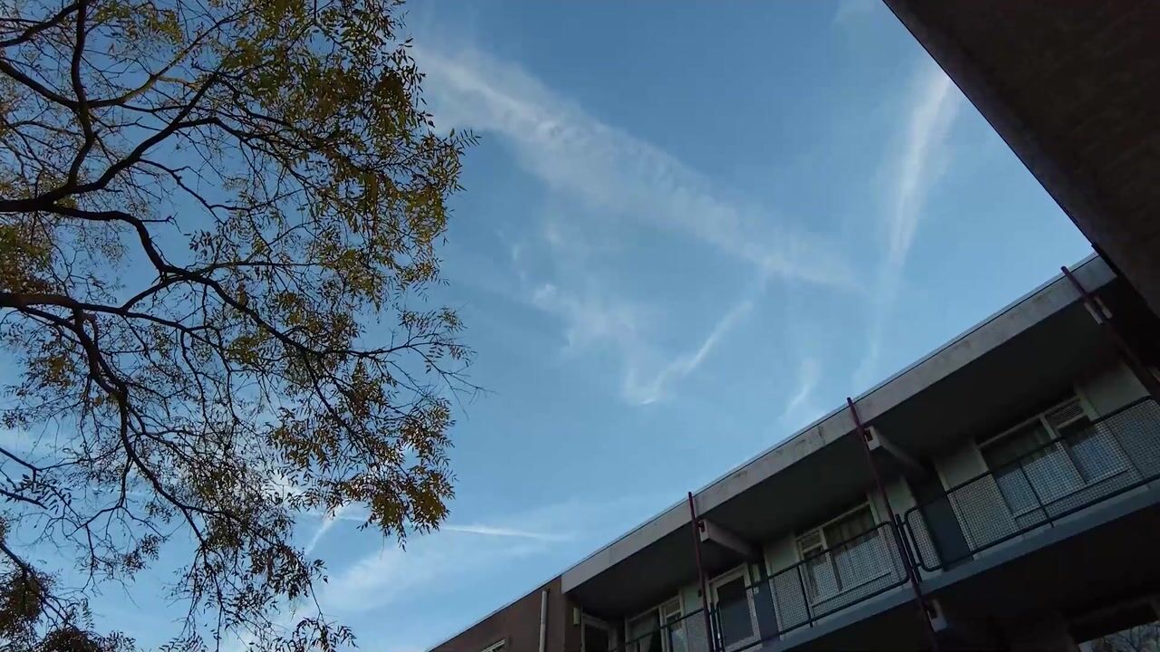 Video van Goudplevier 69