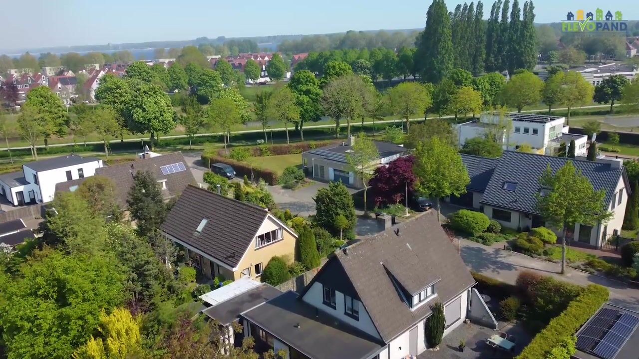 Video of Zilverschoon 1