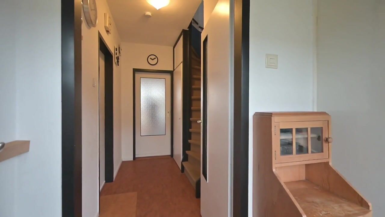 Video van Grote Houw 243