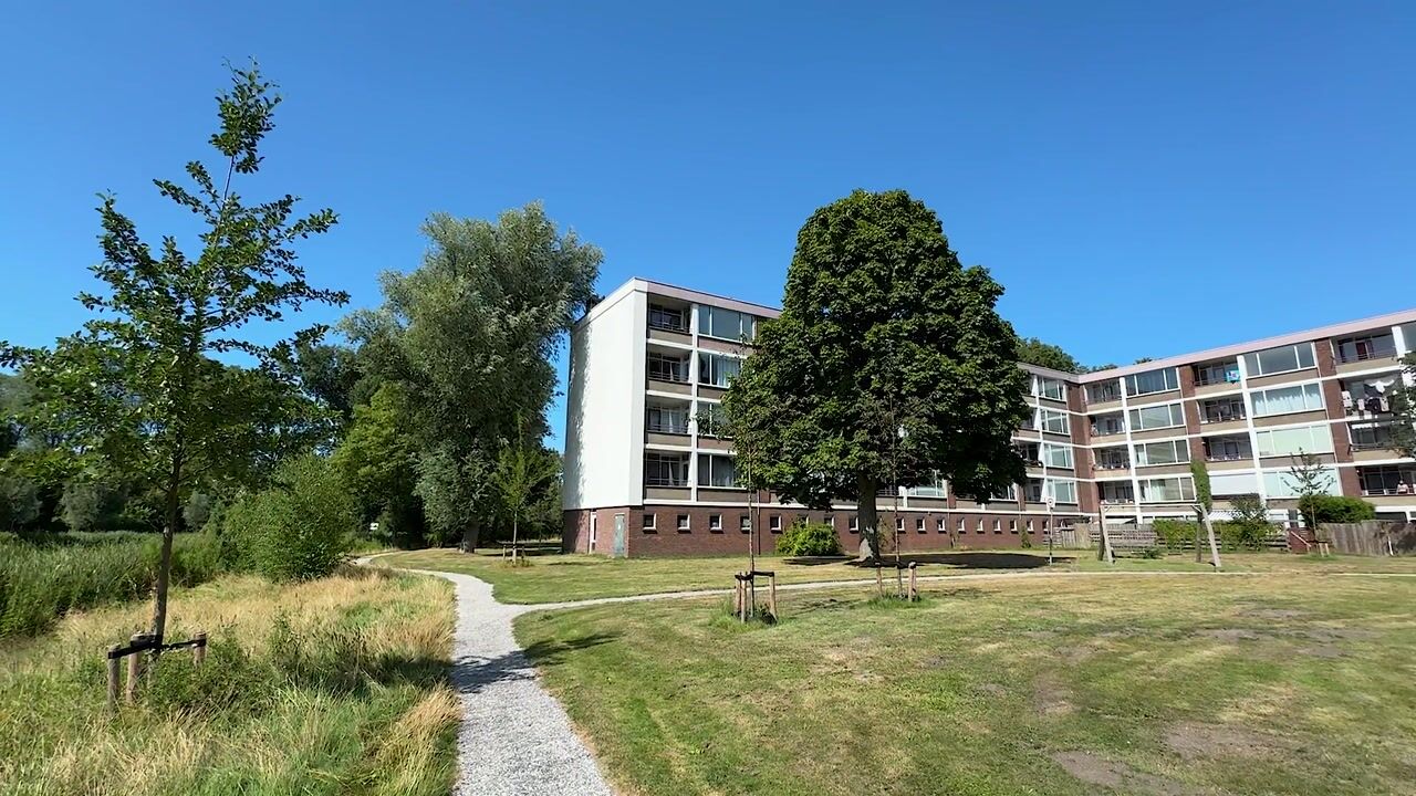 Video van Leverkruidweg 321