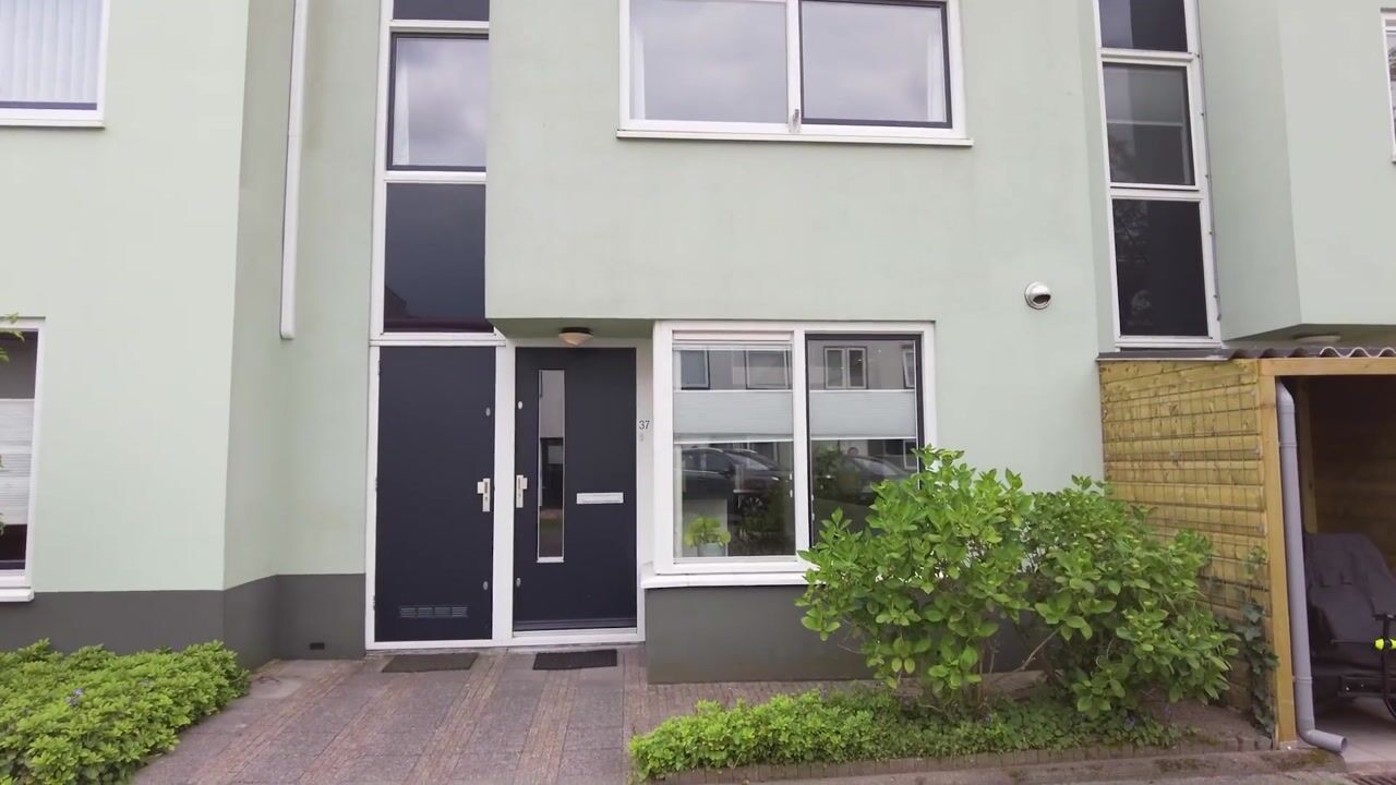 Video van Gangboord 37