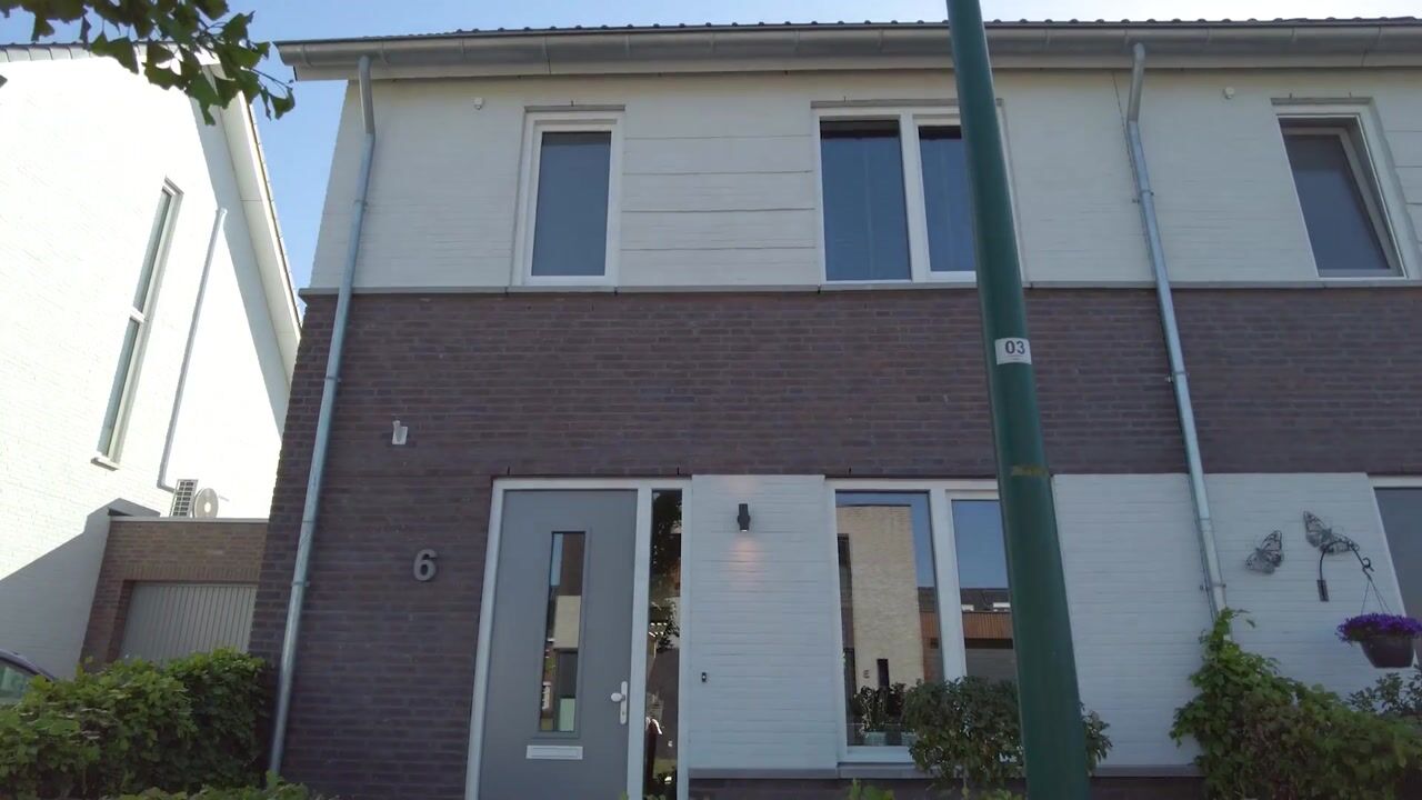 Video of Paardebloem 6