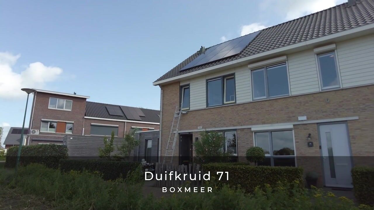 Video van Duifkruid 71