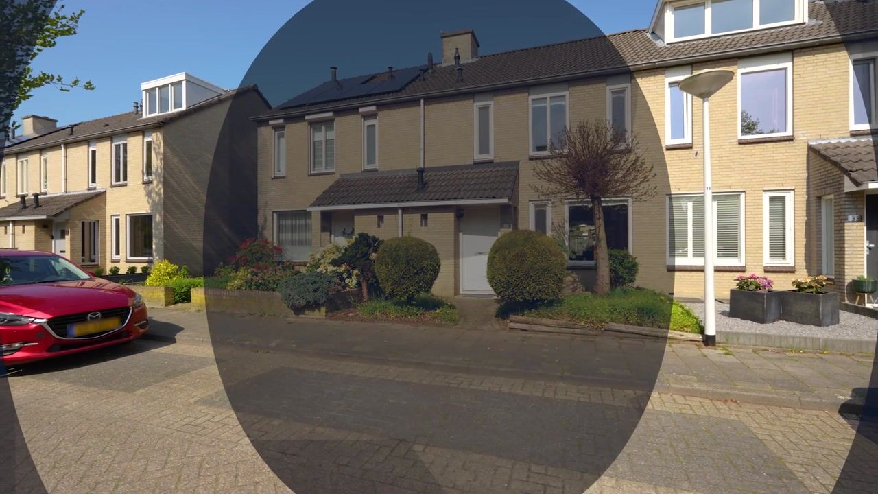 Video van Populier 31