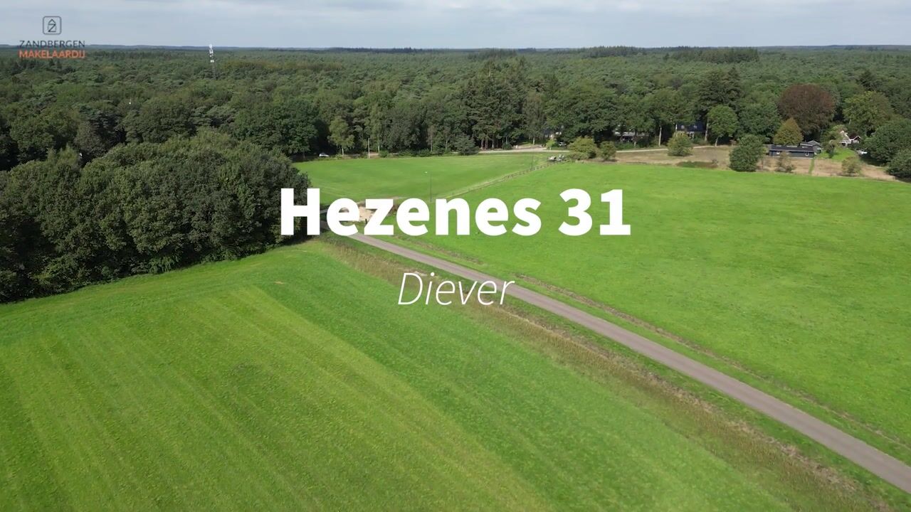 Video van Hezenes 31