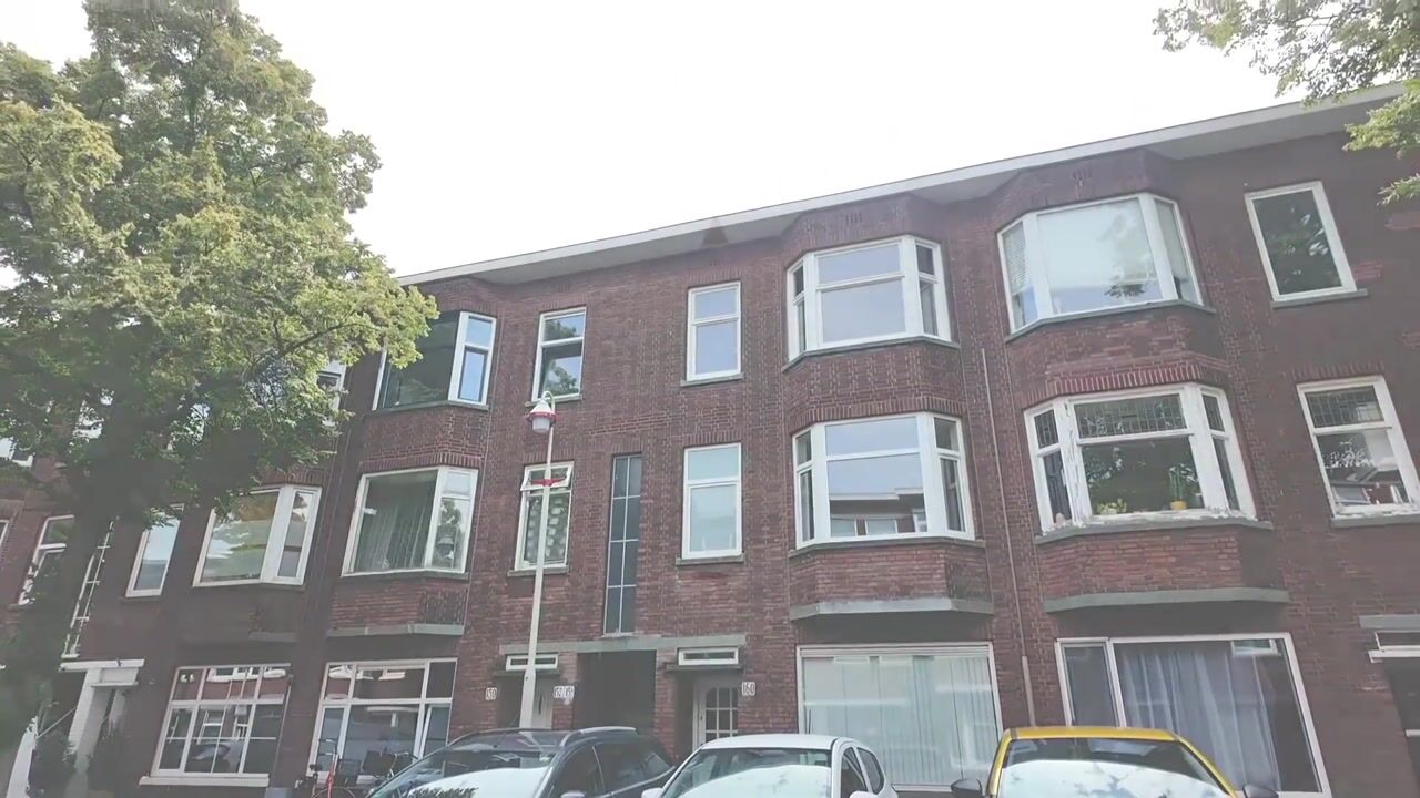 Video van Linnaeusstraat 156